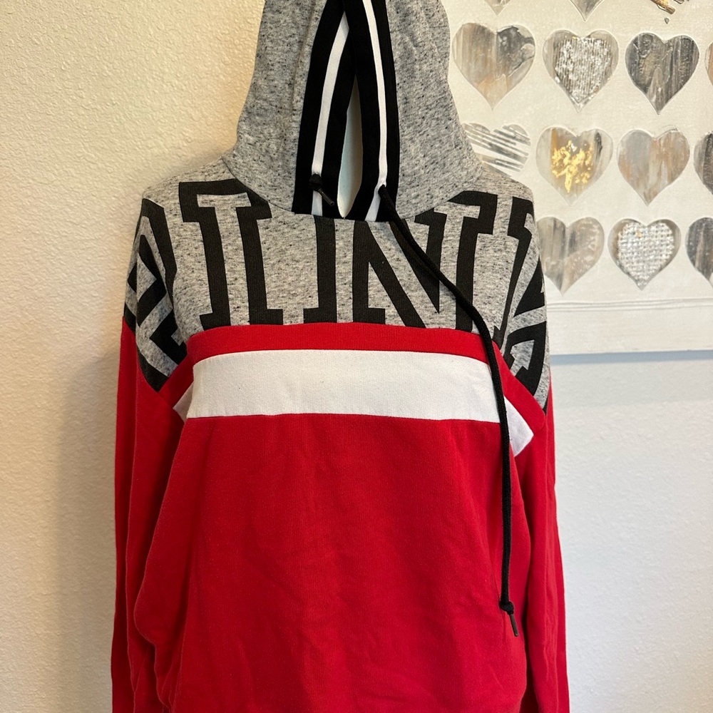 PINK hoodie sweater